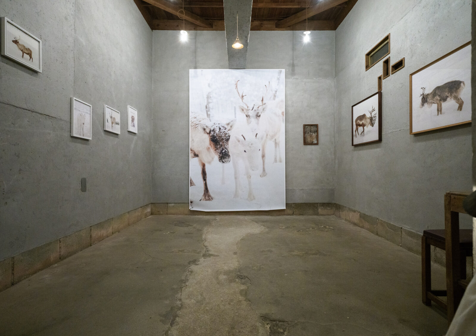 写真家 トナカイ｜松本慎一 個展「レインディア」